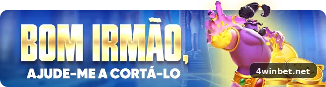 4win ambiente 2